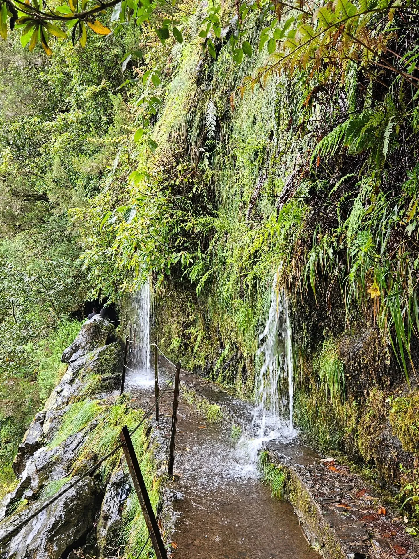 Levada do Caldeirão Verde на Мадейрі